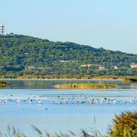 Les Jardins Du Nil By Interhome Appartement